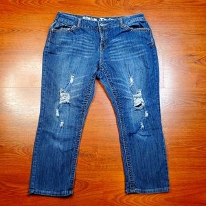 Ten 25 Ten25 Womens Jeans Size 20W X 24 Straight Leg Distressed Jeans